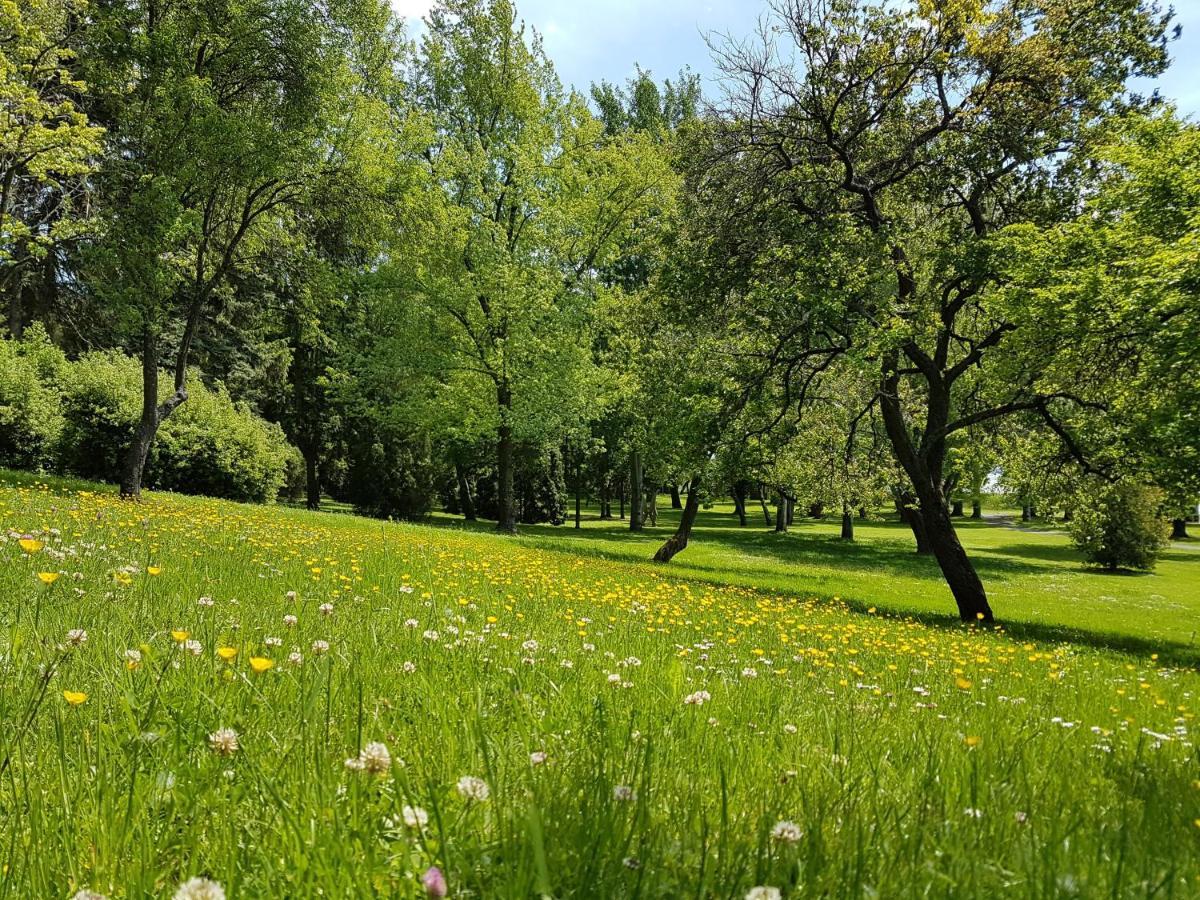 Zanka Vizparti Ueduelo Hotel Екстериор снимка